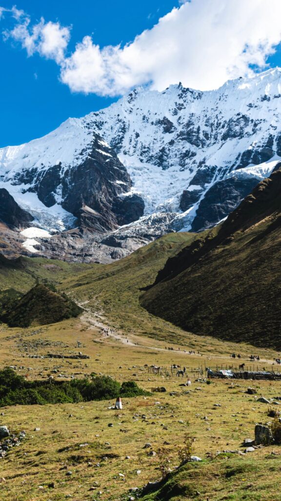 Una vista amplia de un valle verde que conduce hacia una imponente montaña cubierta de nieve y hielo bajo un cielo azul.