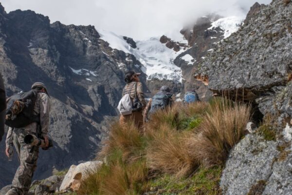 TOUR DE OBSERVACIÓN DE AVES EN EL PASO DE MÁLAGA – AVES ENDÉMICAS DE CUSCO, PERÚ – 3 DÍAS / 2 NOCHES