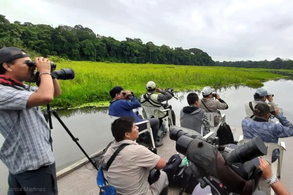 EXPERIENCIA DE OBSERVACIÓN DE AVES EN EL PARQUE NACIONAL DEL MANU – 08 Días / 07 noches