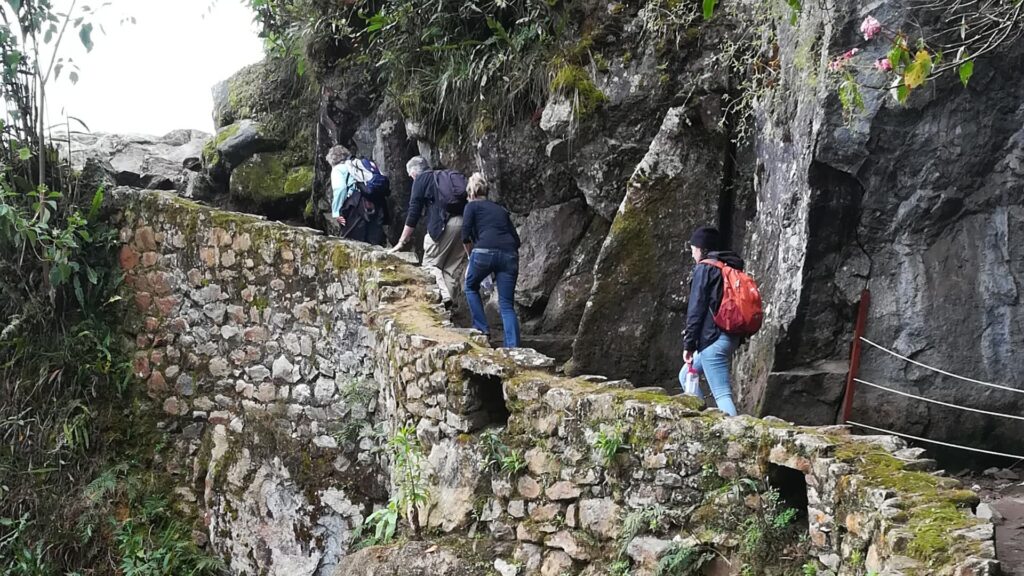 Un grupo de viajeros en una aventura de senderismo en Machu Picchu, ascendiendo empinadas escaleras de piedra construidas en la ladera de una montaña y rodeadas de exuberante vegetación.