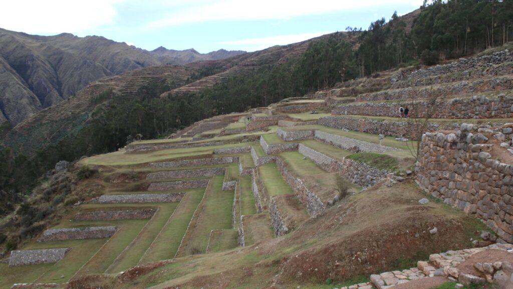 AVISTAMIENTO DE AVES EN MACHU PICCHU Y COLIBRÍES DEL VALLE SAGRADO – 2 días / 1 noche