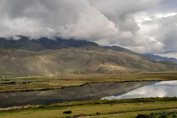 TOUR DE OBSERVACIÓN DE AVES EN LA LAGUNA DE HUACARPAY – HUMEDALES ALTOANDINOS CERCA DE [CUSCO] MEDIO DÍA